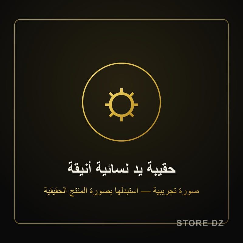 حقيبة يد نسائية أنيقة — Store DZ